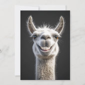 Lachende lama close-up kaart (Voorkant)