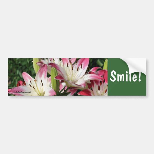 Lachende lelie bloem inspirerende bumper sticker (Voorkant)