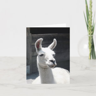Lachende Llama Blank Note Kaart