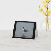 LACHENDE MEEUW OP HET STRAND NOTE KAART (Gele Bloem)