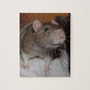 lachende rat puzzel met tin