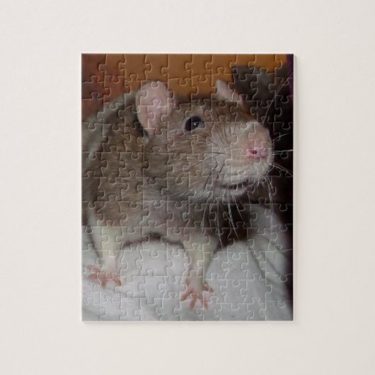 lachende rat puzzel met tin (Verticaal)
