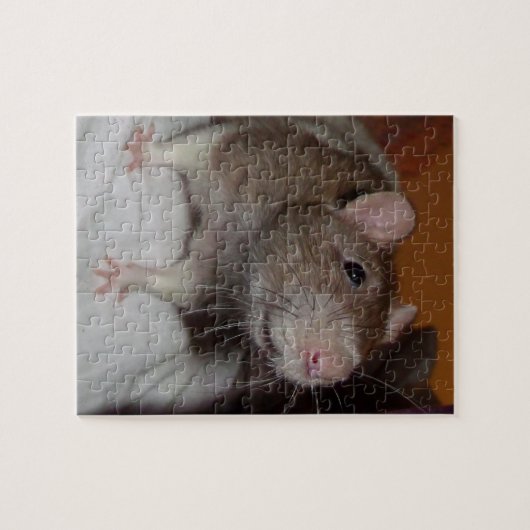 lachende rat puzzel met tin legpuzzel (Horizontaal)