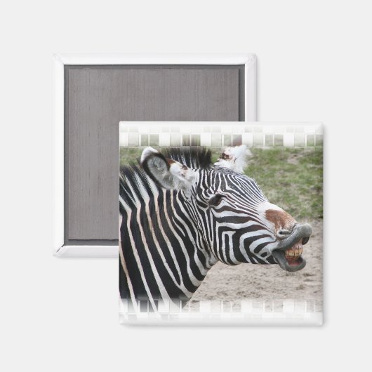 Lachende Zebra magneet (Voorkant / Achterkant)