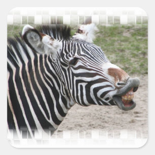 Lachende Zebra Stickers
