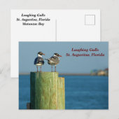 Lachmeeuwen Feestdagenkaart (Voorkant / Achterkant)