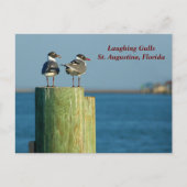 Lachmeeuwen Feestdagenkaart (Voorkant)