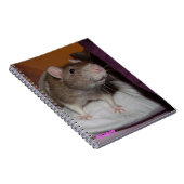 lachrat spiraal notitieboek (Rechterzijde)