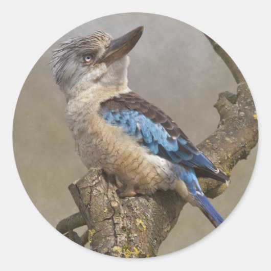 Lachvogelsticker Ronde Sticker (Voorkant)