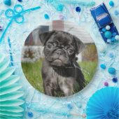LACK PUG PUPPY PAPIEREN BORDJE (Feest)