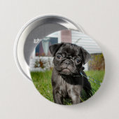 LACK PUG PUPPY RONDE BUTTON 7,6 CM (Voorkant /achterkant)