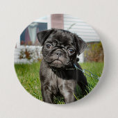 LACK PUG PUPPY RONDE BUTTON 7,6 CM (Voorkant)