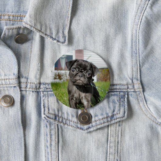 LACK PUG PUPPY RONDE BUTTON 7,6 CM (In situ)