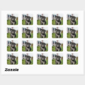 LACK PUG PUPPY VIERKANTE STICKER (Vel)