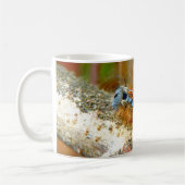 Lackey Moth Caterstyle Bug Mok (Links)