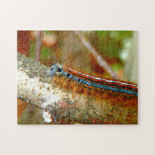 Lackey Moth Caterstyle Photo Puzzle with Gift Box Legpuzzel
