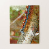 Lackey Moth Caterstyle Photo Puzzle with Gift Box Legpuzzel (Verticaal)