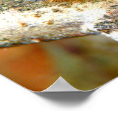 Lackey Moth Caterstyle Poster (Hoek)