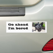 Lacquer Black German Shepherd Bumpersticker (Op auto)