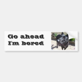 Lacquer Black German Shepherd Bumpersticker (Voorkant)