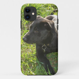 Lacquer Black German Shepherd Case-Mate iPhone Case