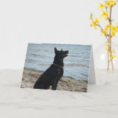 Lacquer Black German Shepherd Kaart (Gele Bloem)