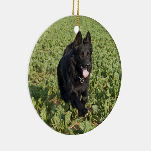 Lacquer Black German Shepherd Keramisch Ornament (Rechts)