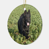 Lacquer Black German Shepherd Keramisch Ornament (Links)
