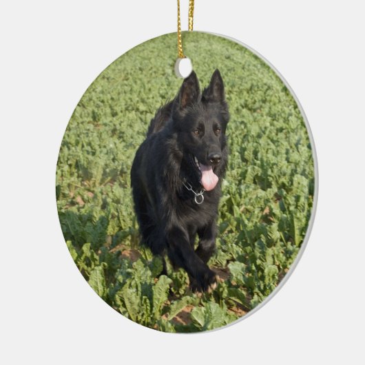 Lacquer Black German Shepherd Keramisch Ornament (Links)