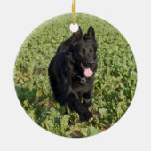 Lacquer Black German Shepherd Keramisch Ornament (Achterkant)