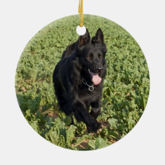Lacquer Black German Shepherd Keramisch Ornament (Achterkant)