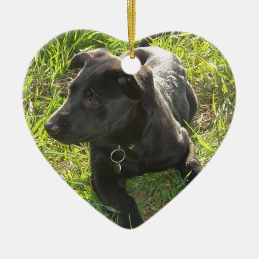 Lacquer Black German Shepherd Pup Keramisch Ornament (Voorkant)