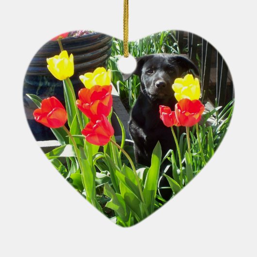 Lacquer Black German Shepherd Pup Keramisch Ornament (Achterkant)