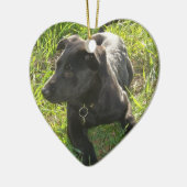 Lacquer Black German Shepherd Pup Keramisch Ornament (Links)