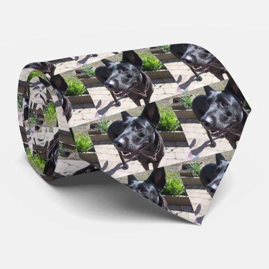 Lacquer Black German Shepherd Stropdas (Opgerold)