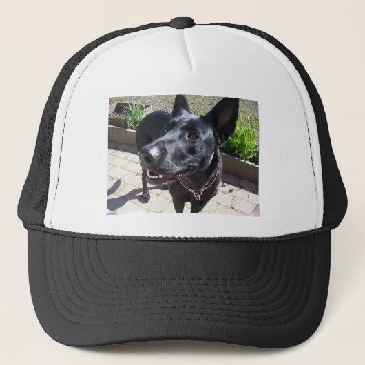 Lacquer Black German Shepherd Trucker Pet (Voorkant)