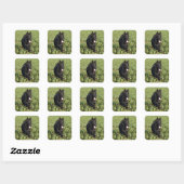 Lacquer Black German Shepherd Vierkante Sticker (Vel)