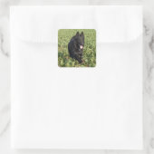 Lacquer Black German Shepherd Vierkante Sticker (Tas)
