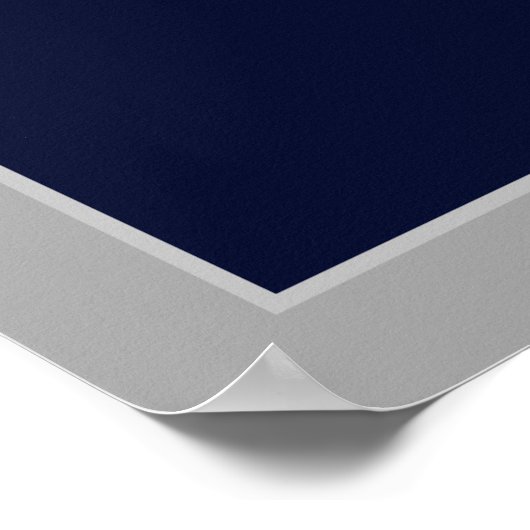 Lacrosse Goalie Poster (Hoek)