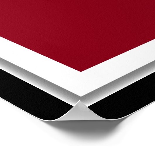 Lacrosse Goalie Poster (Hoek)