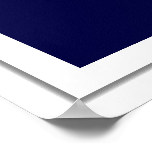 Lacrosse Goalie Poster (Hoek)