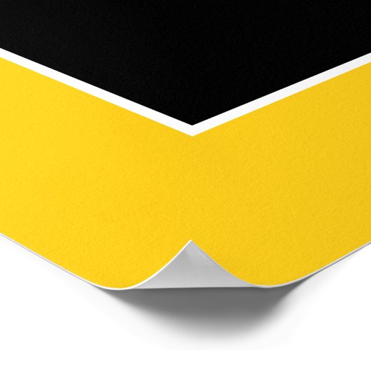 Lacrosse Goalie Poster (Hoek)