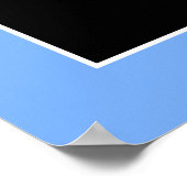 Lacrosse Goalie Poster (Hoek)