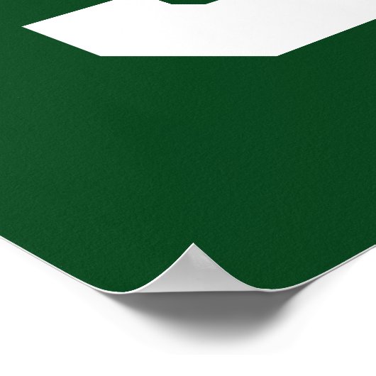 Lacrosse Green Team Senior Night Poster (Hoek)