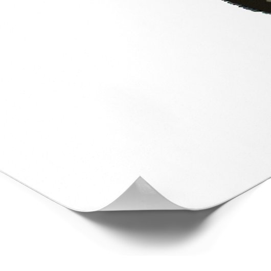 Lacrosse Panda Power Poster (Hoek)