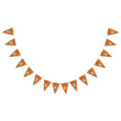 Lacrosse Party Oranje Vlaggetjes (Alle)