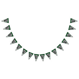 Lacrosse Party Vlaggetjes