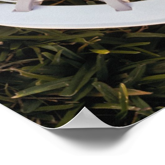 Lacrosse Stick en Ball Poster (Hoek)