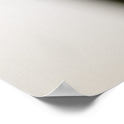 Lacrosse Stick Poster (Hoek)