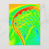 Lacrosse Stick Sport Kleurrijke Tiener Foto Kunst Briefkaart (Voorkant)